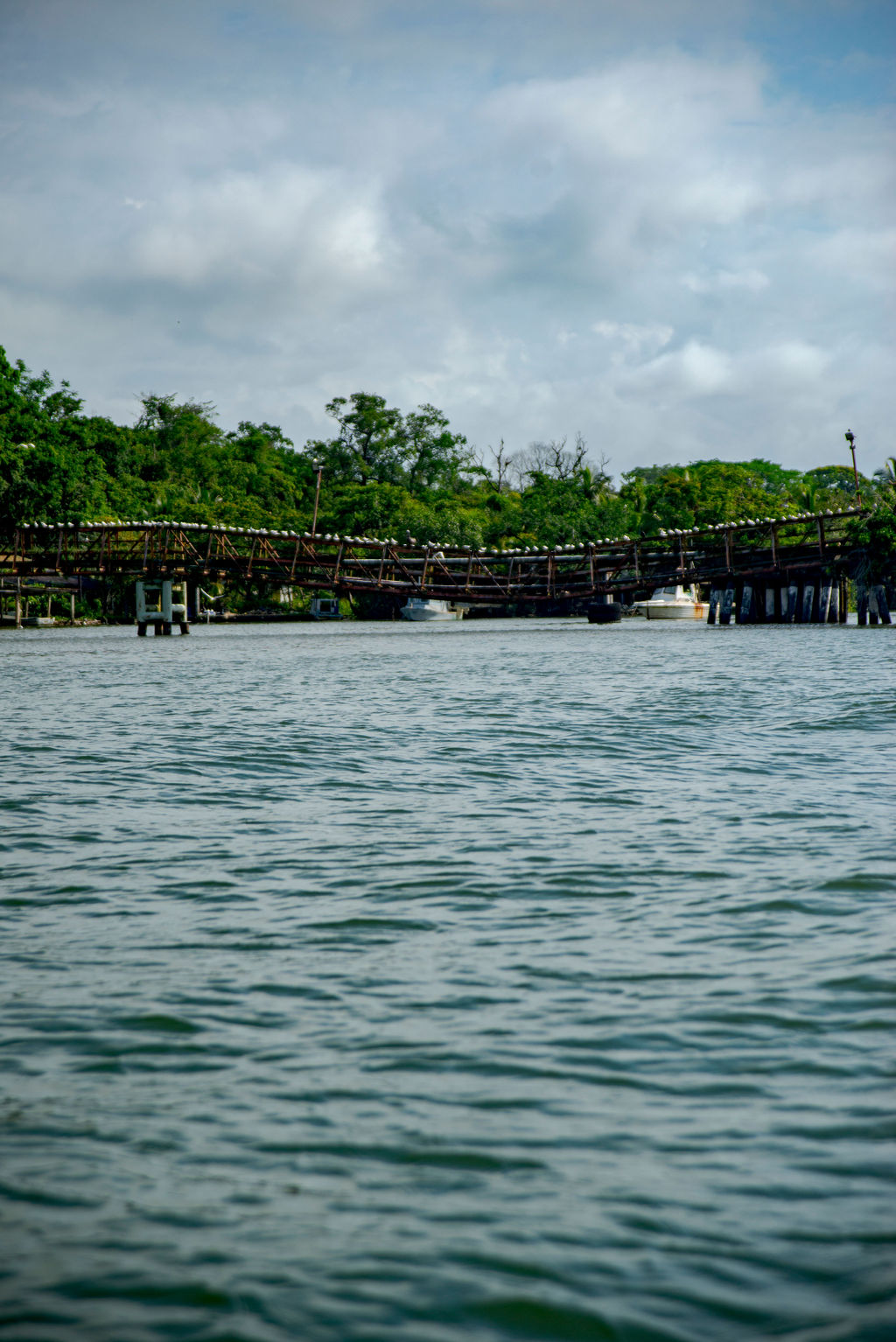 Puente de madera Artigo