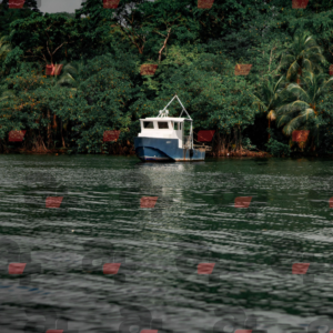 Barco
