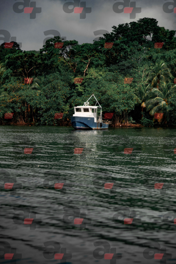 Barco